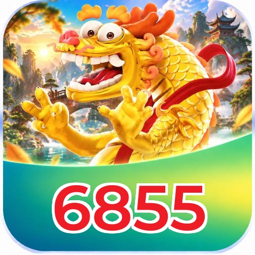 6855 FAQ
